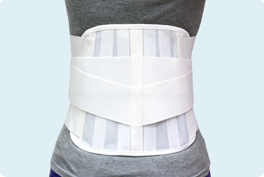 Mesh Back & Lumbar Support